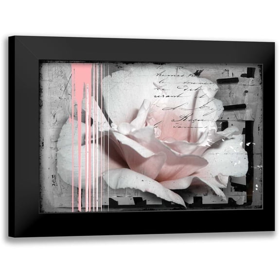 Baker, Micha 14x11 Black Modern Framed Museum Art Print Titled - Pink Rose