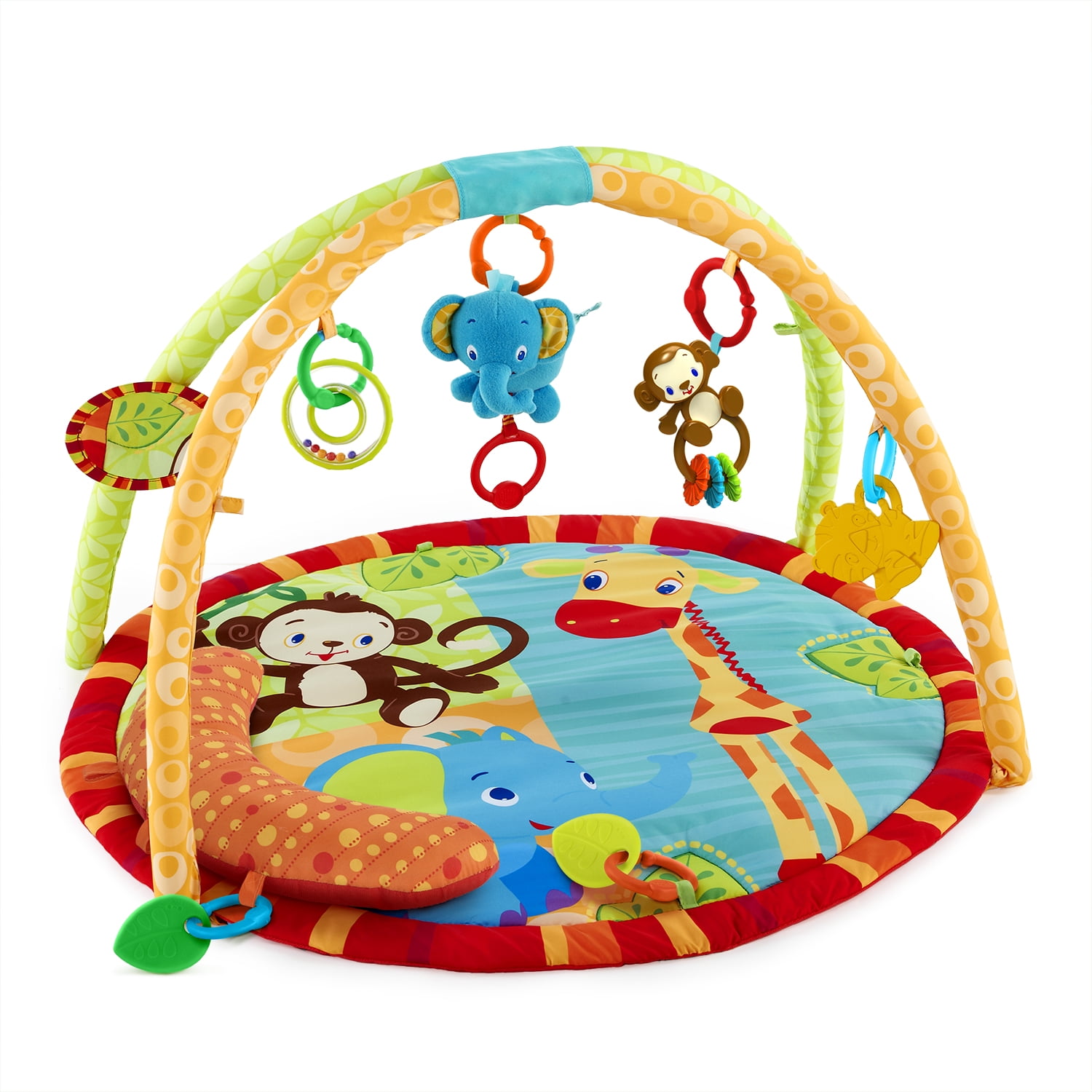 safari activity gym