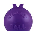 thumbnail image 7 of Jolly Pets Tug-n-Toss Ball with Handle Purple 4.5 inch  Rubber Toy for Dogs, 7 of 7