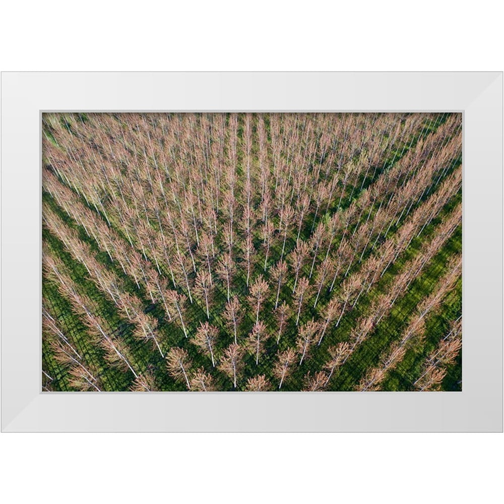 Molinari, Michele 24x17 White Modern Wood Framed Museum Art Print ...
