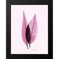 thumbnail image 2 of Koetsier, Albert 15x18 Black Modern Framed Museum Art Print Titled - Caplulin Cherry Pink, 2 of 5
