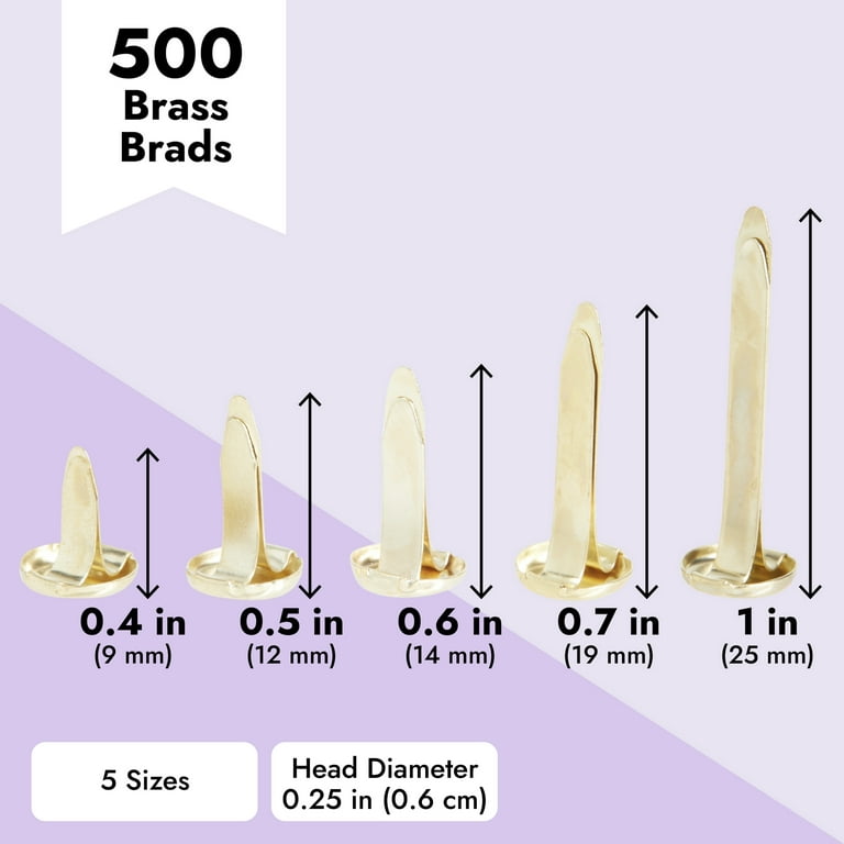 Hotop 500 Pieces Paper Brass Fasteners Brass Brads Round Fasteners