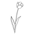 thumbnail image 2 of Prime, Marcus 25x32 Gold Ornate Wood Framed with Double Matting Museum Art Print Titled - Paper Tulip 2, 2 of 4