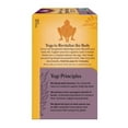 thumbnail image 3 of Yogi Tea Elderberry Lemon Balm Immune Plus Stress, Organic Tea Bags, 4 Boxes of 16, 3 of 6