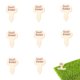 thumbnail image 1 of 30 Uds. Inserto de flor del alfabeto inglés, Micro musgo, maceta de flores suculentas, accesorios, decoración de pasteles, decoración de mesa, 1 of 5