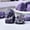Purple, variant on Decorative Stones for Home and Garden Elegant Stone Set for Interior and Landscaping