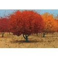 thumbnail image 2 of Wiens, James 32x23 White Modern Wood Framed Museum Art Print Titled - Orange Trees II, 2 of 4