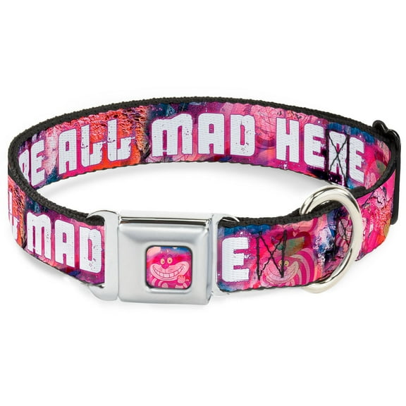 Disney Pet Collar, Dog Collar Metal Seatbelt Buckle, Transparent Cheshire Cat Poses Were All Mad Here, 9.5 to 13 Inches 1.0 Inch Wide