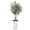 4FT, variant on Realistic Artificial Olive Tree – Lifelike Faux Plant for Home Decor, Decorative White Tall Pot, Easy Care, Adds Greenery – 5FT, White Tall Pot