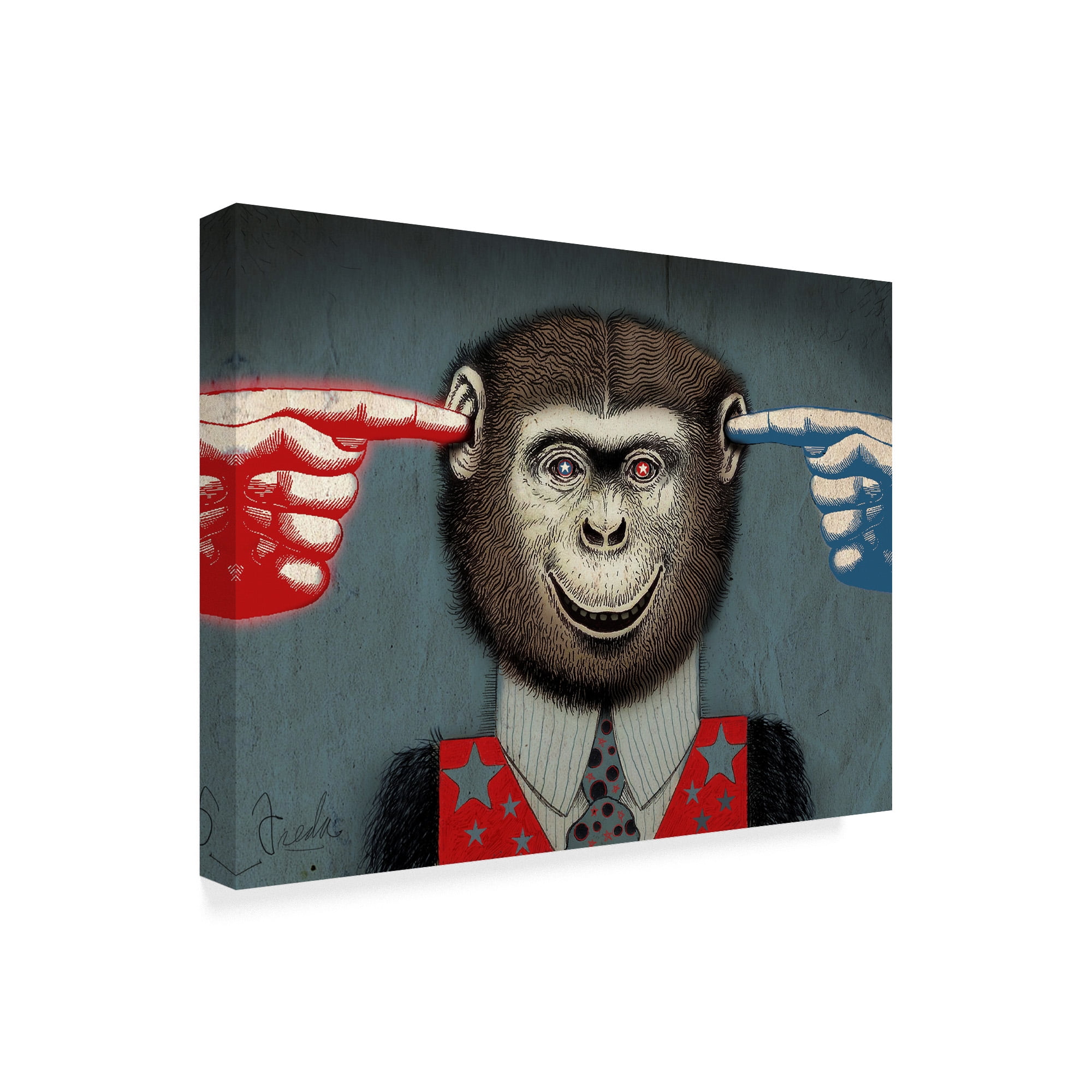 Trademark Fine Art 'Monkey Fool' Canvas Art by Anthony Freda
