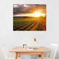 thumbnail image 2 of PRATYUS Wall Art Picture on Canvas Sunrise strawberry farm landscape agricultural agriculture Framed Poster Artwork Stretched and Framed Paintings Home Decor Living Room Ready to Hang 20x16 Inch, 2 of 3