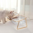 Raised Cat Food Water Bowl Transparent Slanting Mouth Elevated Pet
