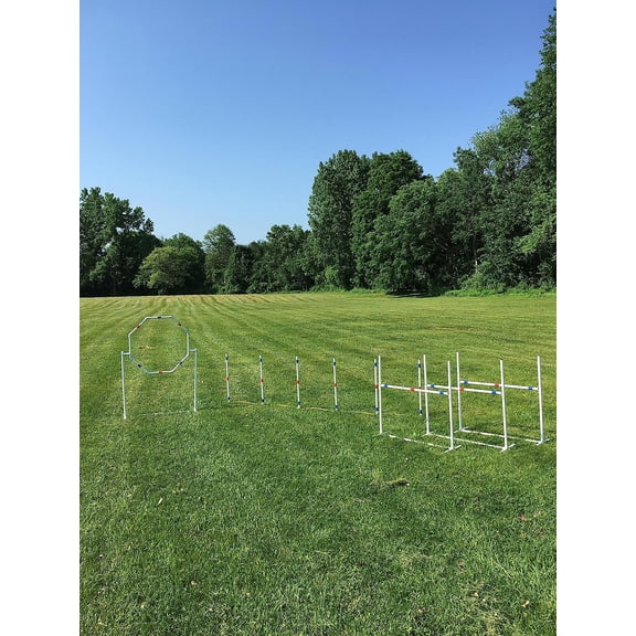 Dog Agility Equipment Deluxe Beginner Set, 3 Bar Jumps, 6 Weave Poles,1 Octagon Hoop Jump Agility Course for Dogs