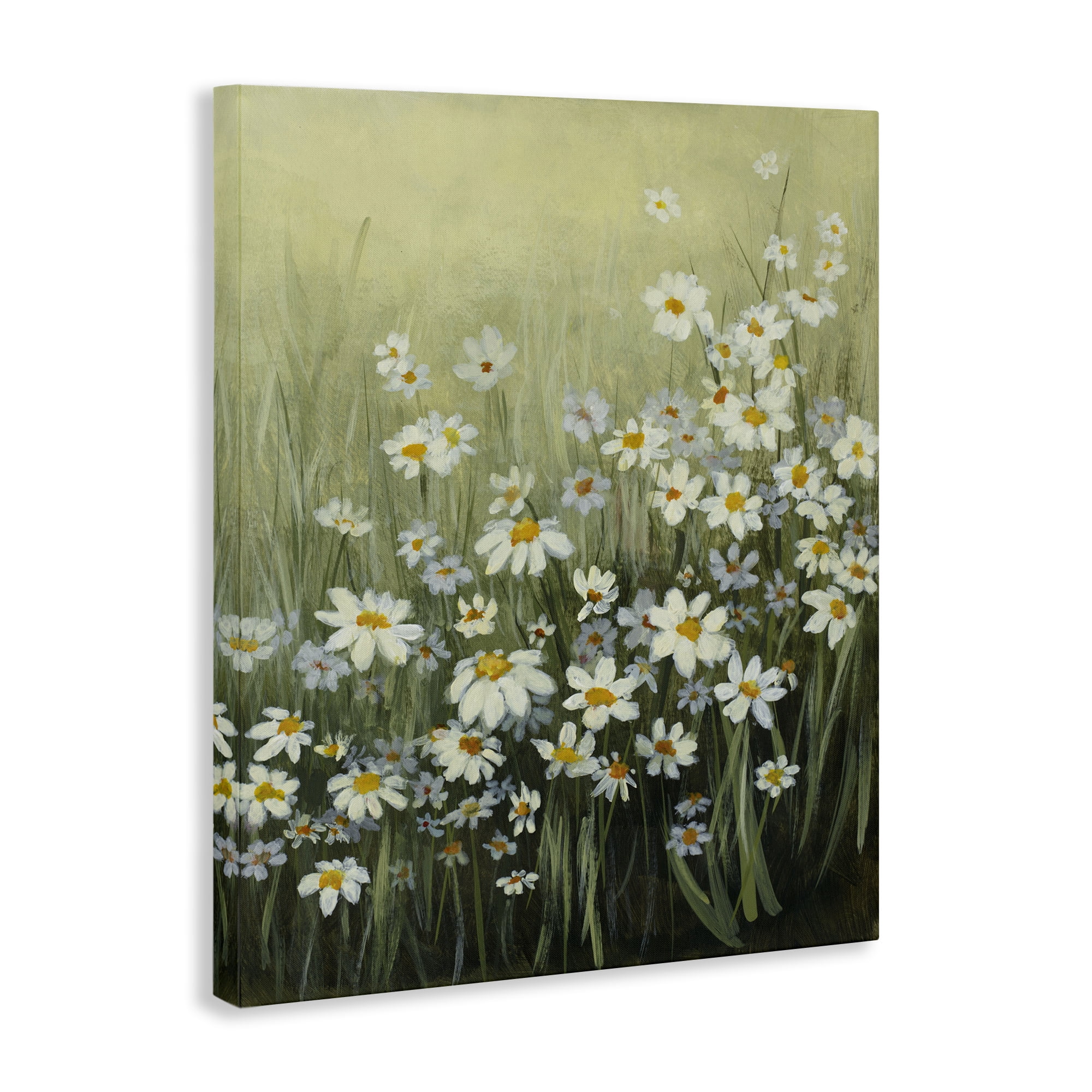 Stupell Industries Daisy Field Garden Plants & Flowers Painting Wrapped Canvas Art Print Wall Art, 16 x 20