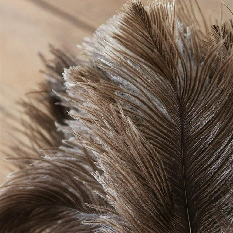 Duster Anti-Static Ostrich Feather Fur Brush Dust Cleaning Tool Wooden  Handled R