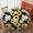 Sunflower And Daisy, variant on Sunflower and Text Black Pattern Round Tablecloth 70"x70", Wrinkle Resistant Wipeable Table Cover for Kitchen Dining Room Picnic Patio and Party
