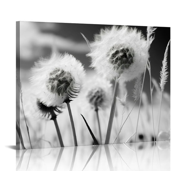 COMIO Black and White Canvas Wall Art Small Size Dandelion Picture Framed Artwork Flower Painting Prints for Kitchen Bedroom Living Room