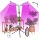 thumbnail image 1 of Lámpara de crecimiento 40W 80LEDs Grow Light con bombillas de luz azul roja Temporizador 4/8 / 12H 9 niveles de brillo para plántulas de plantas de interior Lámparas de cultivo de plantas de cuello de Abanopi Lámpara de crecimiento, 1 of 7