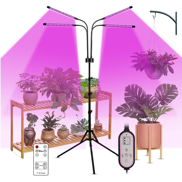 Lámpara de crecimiento 40W 80LEDs Grow Light con bombillas de luz azul roja Temporizador 4/8 / 12H 9 niveles de brillo para plántulas de plantas de interior Lámparas de cultivo de plantas de cuello de Abanopi Lámpara de crecimiento