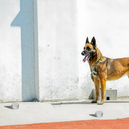 Niceauty Dog Training Kit Aluminium for Outdoor Training Dog Agility Equipment