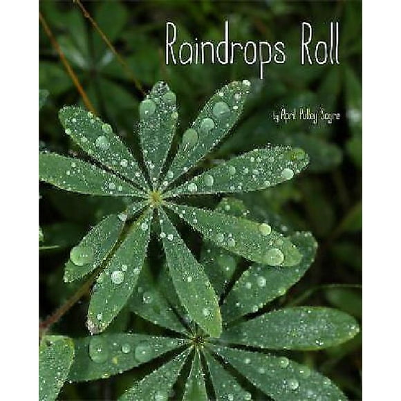Raindrops Roll By April Pulley Sayre
