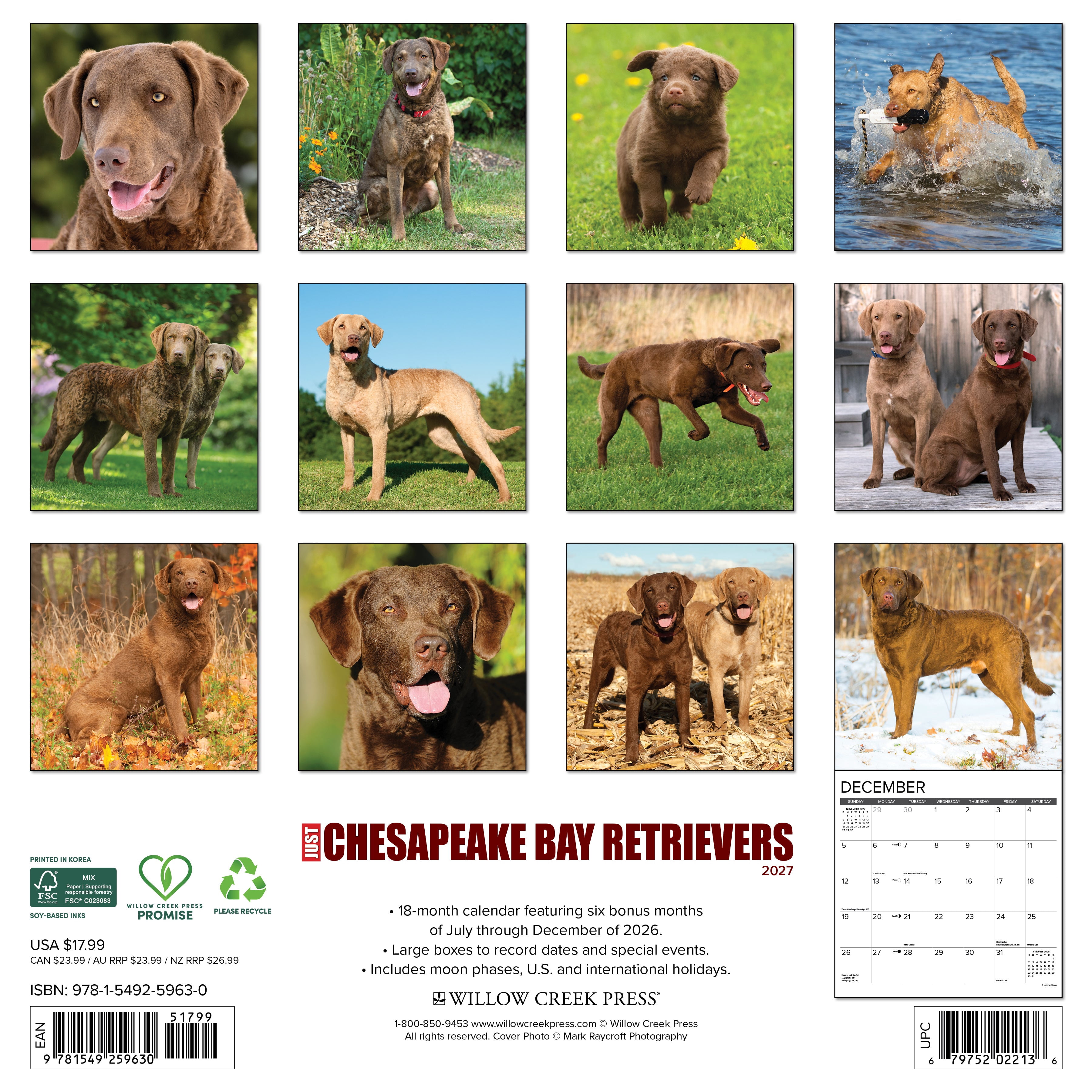 Willow Creek Press, Chesapeake Bay Retrievers 2027 Wall Calendar