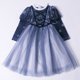 thumbnail image 1 of Primavera otoño vestidos infantiles para niñas trajes de Navidad dibujos animados Frozen Elsa Puff manga princesa vestido fiesta de cumpleaños vestido de graduación 3T (Tag110) Gao Jinjia LED, 1 of 2