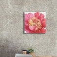 thumbnail image 3 of Epic Graffiti 'Pink Garden V' by Lisa Audit, Canvas Wall Art, 18"x18", 3 of 8