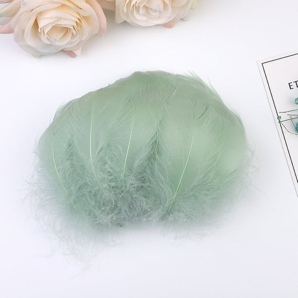 Xihbxyly Artículos de Clarence 100 Plumas En Color 6 a 12 Cm En Pequeñas Plumas para Decoración Diy