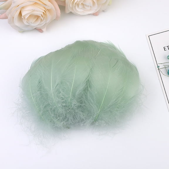 Giunmcul My Order 100pc Colorful Feathers 6-12 Cm In Small DIY Decoration