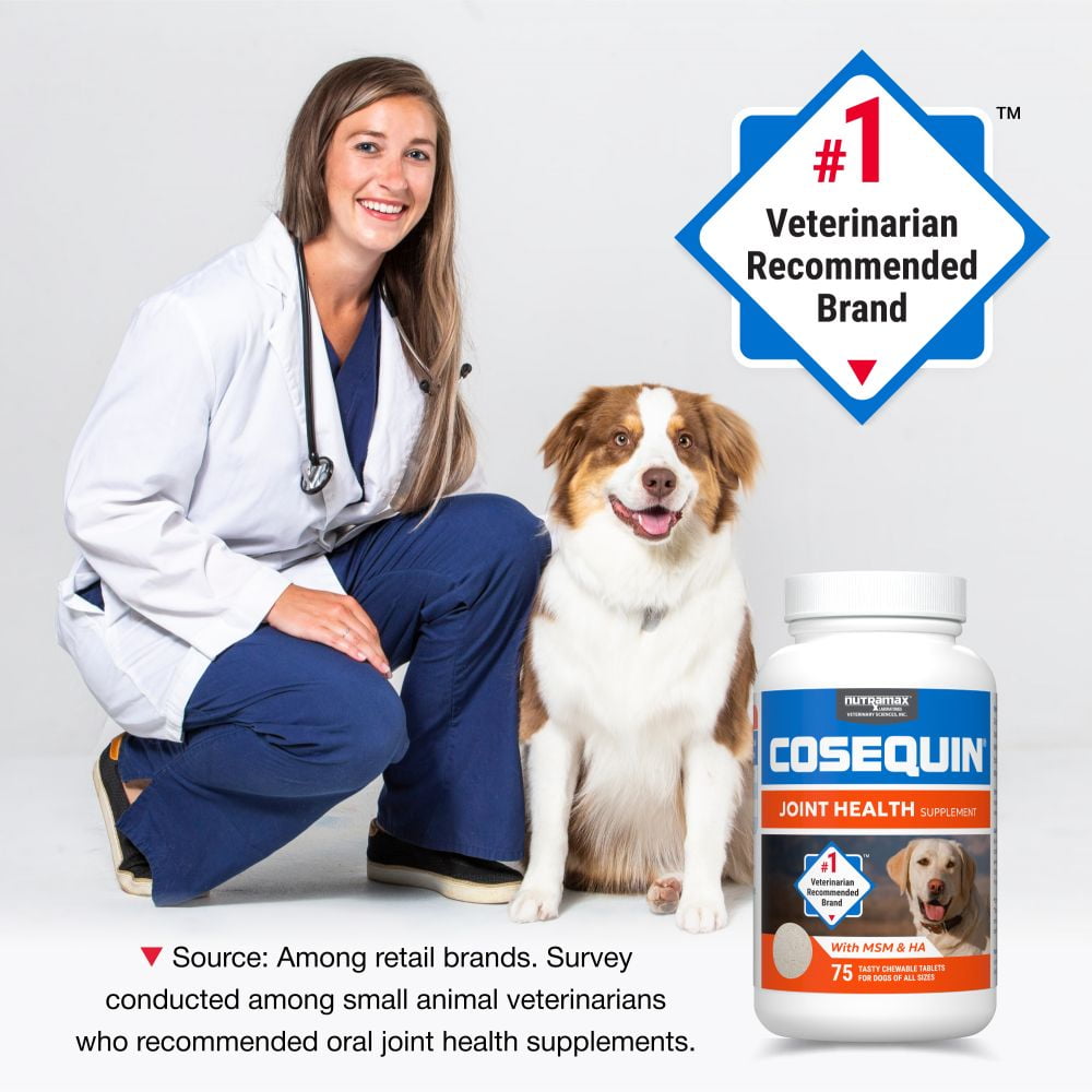 Nutramax Laboratories Cosequin Maximum Strength Joint Health Supplement for Dogs - With Glucosamine, Chondroitin, MSM, and Hyaluronic Acid, 75 Chewable Tablets