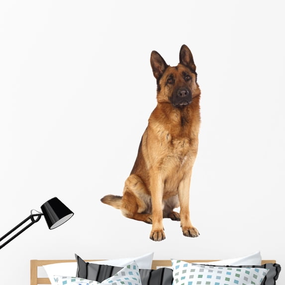 German Shepard Portrait Wall Decal by Wallmonkeys Peel and Stick Graphic (48 in H x 45 in W) WM42392