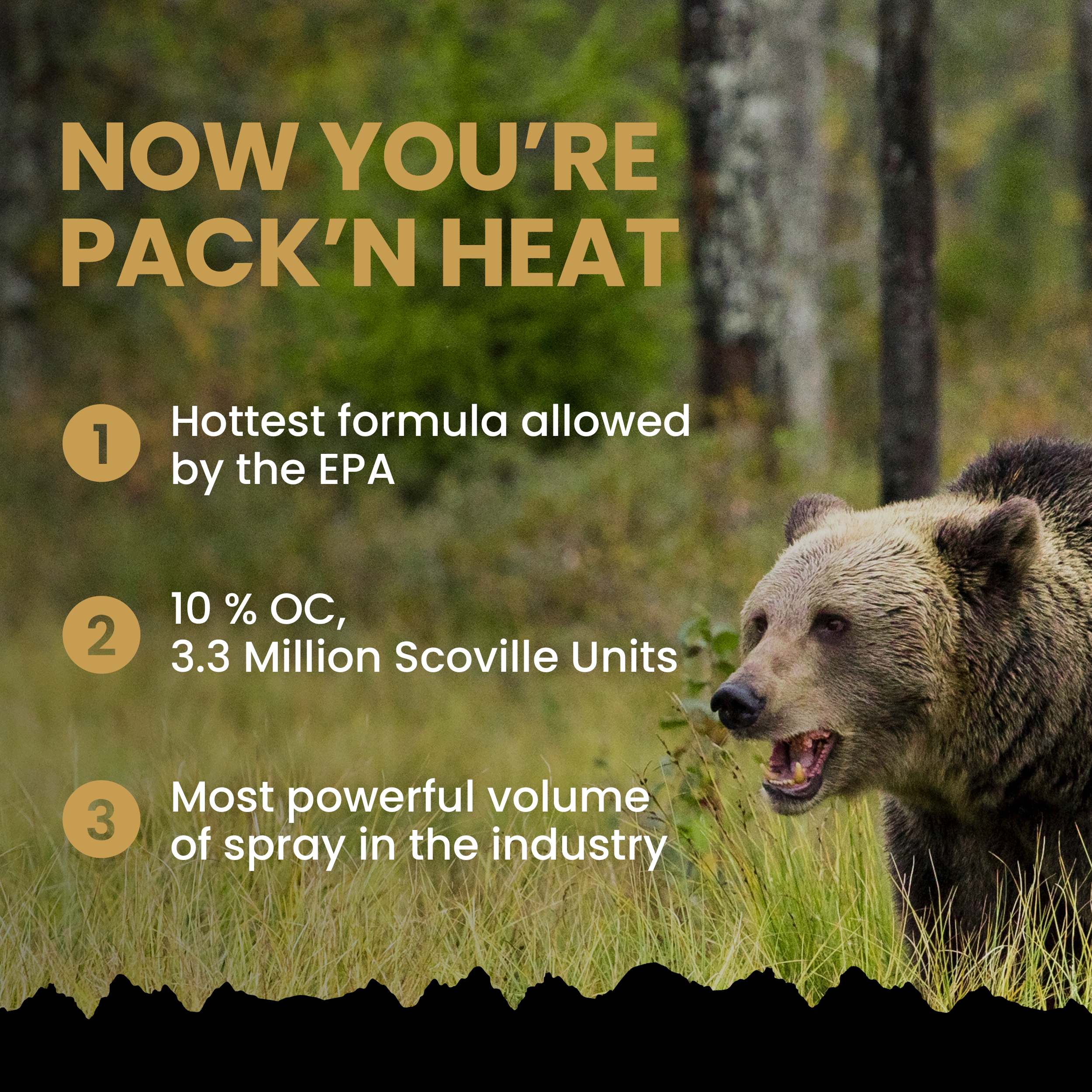 Griz Guard 260GG2 Bear Spray 2 Pack with Holster — 40 ft Range, Maximum Strength EPA-Registered Defense for Bears, Mountain Lions, Coyotes, Dogs & Moose — 9.2 oz Outdoor Hiking & Camping Protection