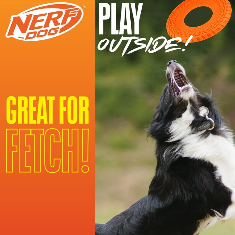 Nerf Dog Tire Flyer, Orange, 10 inch - Walmart.com