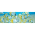 thumbnail image 3 of Atelier B Art Studio 24x10 Black Modern Framed Museum Art Print Titled - Butterfly Fishs, 3 of 5