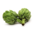 thumbnail image 5 of 75 GREEN GLOBE ARTICHOKE Cynara Scolymus Vegetable Seeds, 5 of 5