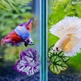 thumbnail image 2 of ShengShi 1Pcs Simulation Ornamental Leaf Betta Fish Rest Spawning Leaf Betta Fish Bed Hammock for Fish Tank Aquarium Decorations, 2 of 6