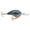 Live Pumpkinseed, variant on Rapala Dives-To Crankbait 06 Silver