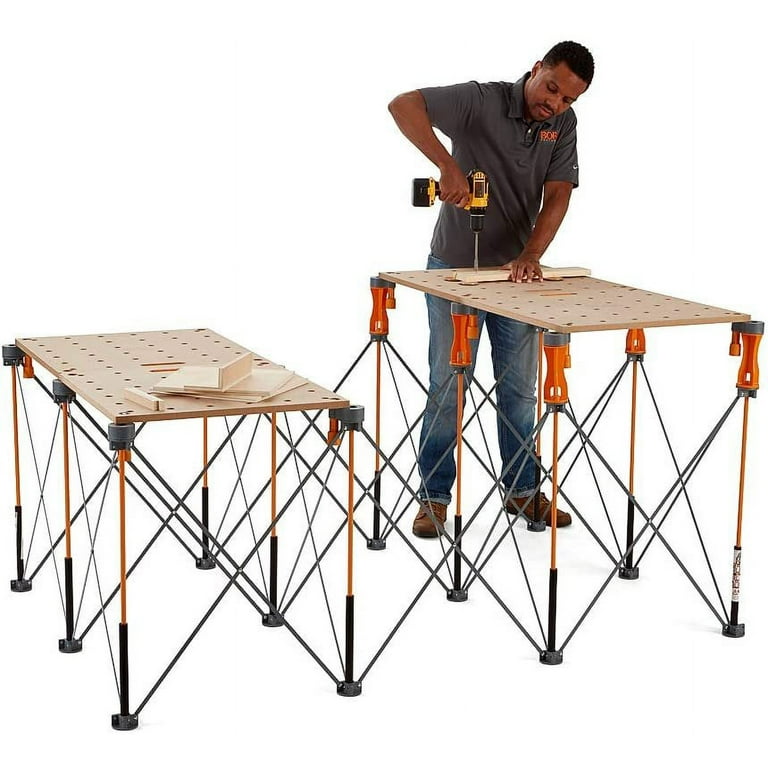 Centipede sawhorse 2024
