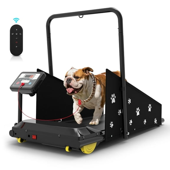 Hapycity Dog Treadmill, Indoor Pet Fitness Machine for Small & Medium Dogs, 265LB Capacity, LCD Display & Remote