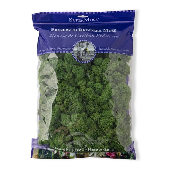 SuperMoss 8oz. Basil Preserved Reindeer Moss