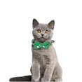 thumbnail image 3 of Pajaritas de lazo para cachorros perros y gatos TANGJMXG con collar de corbata ajustable, 3 of 4