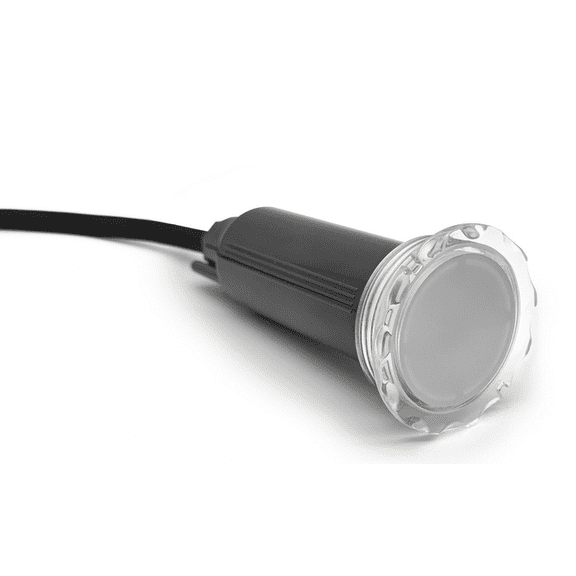 1 1/2 inch colorlogic 320 replacement pool light led RGBW 100 ft cord