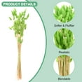 thumbnail image 2 of Uxcell 60-Pack Bunny Tails Grass 17 Inch Fluffy Rabbit Tail Grass Dried Flowers for Home/Wedding [Green], 2 of 7