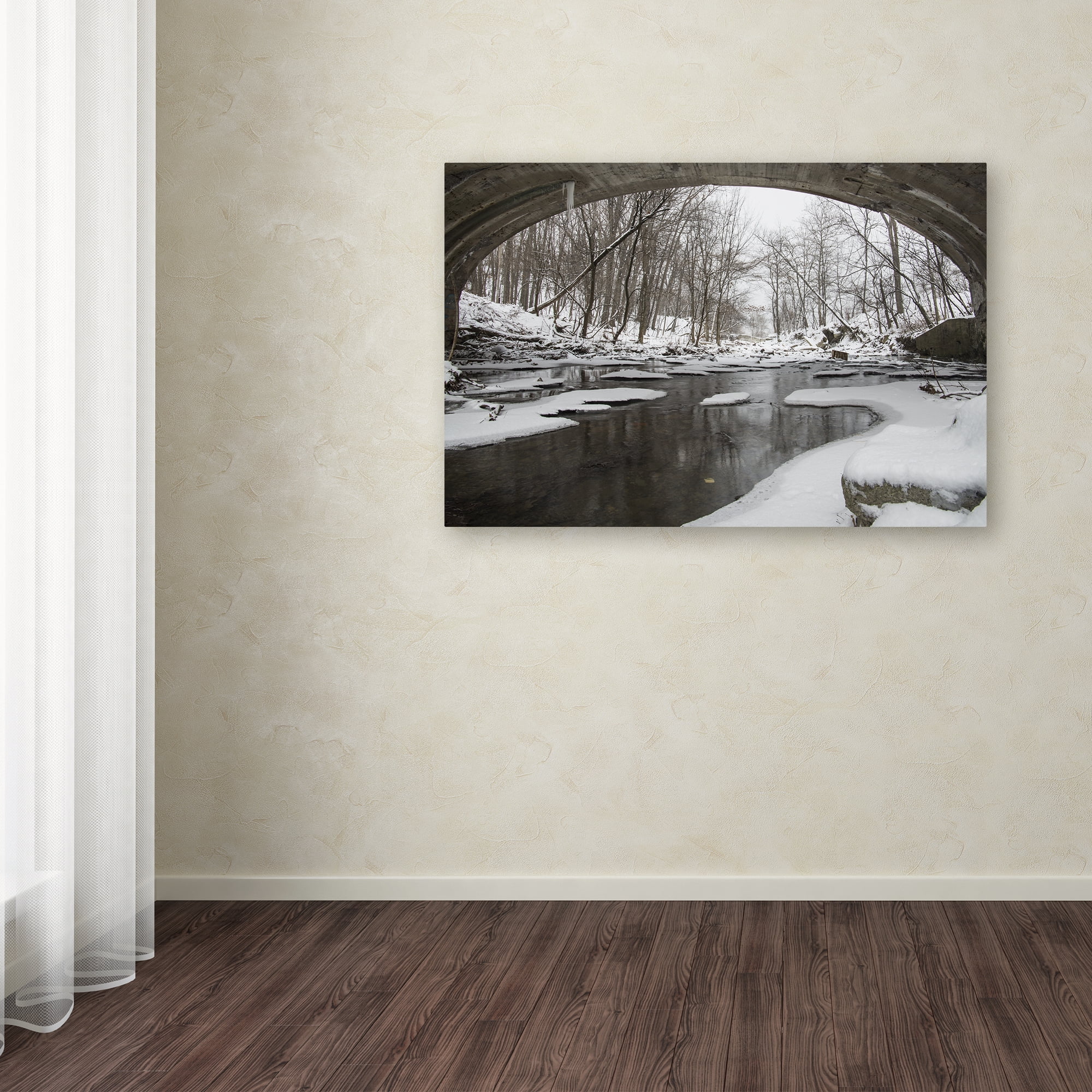 Trademark Fine Art 'Cold Flow' Canvas Art by Kurt Shaffer