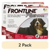 (2 pack) FRONTLINE Plus Flea and Tick Treatment for Extra-Large Dogs, 6 Monthly Doses