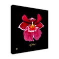 thumbnail image 2 of Trademark Fine Art 'Vivid Orchid VIII' Canvas Art by Ginny Joyner, 2 of 4