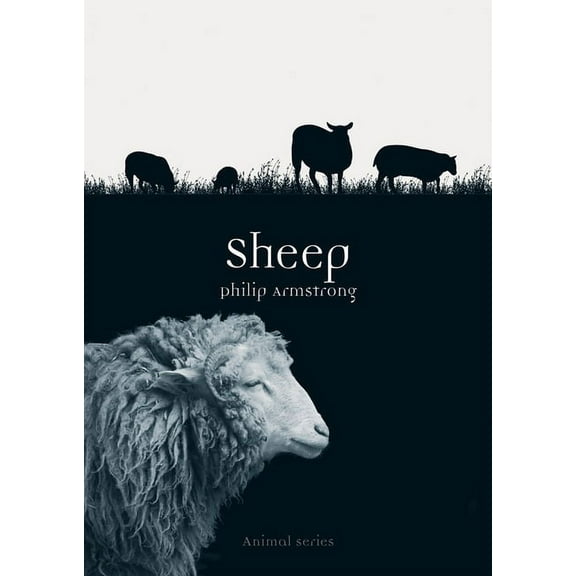 Animal: Sheep (Paperback)
