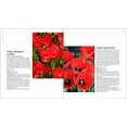 thumbnail image 5 of Plant Lover's Guide to Tulips - Hardcover, 5 of 6