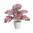 thumbnail image 2 of Planta Bonsái Artificial de Monstera Deliciosa para Interiores con Ramas Ajustables, Follaje Realista, 45cm para Decoración de Hogar, Oficina y Dormitorio, 2 of 7